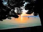 Top Makarska