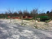 Top Anguillara Sabazia