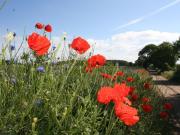 Top Stellshagen Top Stellshagen