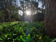 Top Mar de las Pampas