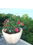 Top Tihany