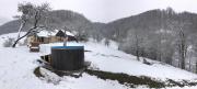 Top Lorău