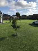 Top Ostseebad Nienhagen