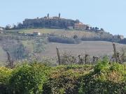 Top Cossignano