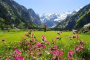 Top Engelberg
