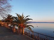 Top Bolsena