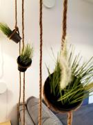 Top Duszniki-Zdrój Top Duszniki-Zdrój