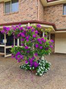 Top Toowoomba