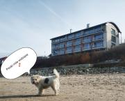 Top Ustronie Morskie Top Ustronie Morskie