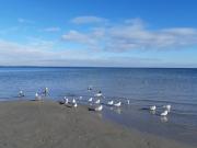 Top Timmendorfer Strand