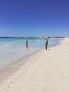 Top Torre Lapillo