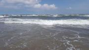 Top Rosolina Mare
