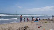 Top Rosolina Mare