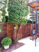 Top Balatonmáriafürdő