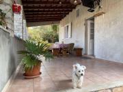 Holiday home in Vela Luka 6375