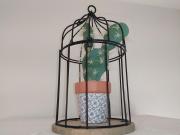 Top Castellón de la Plana