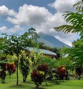 Orquideas Boutique Hotel