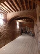Top Lucca