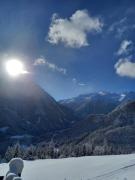 Top Wald im Pinzgau