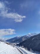 Top Wald im Pinzgau
