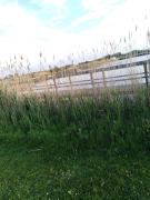 Luxueuze stacaravan in Bredene met eigen terras en tuintje (425)