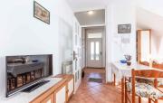 Apartment in Porec - Istrien 41015