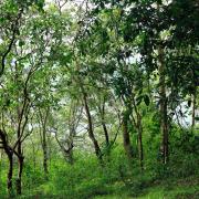 Top Idukki