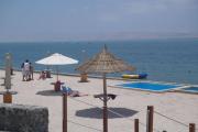 Top Paracas