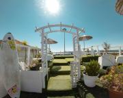 Top Lisbon Top Lisbon