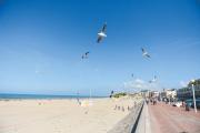 Top Berck-sur-Mer