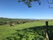 Top Corwen
