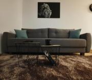 Vila Irina Kopaonik - Apartman IN