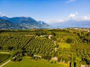 Top San Felice del Benaco Top San Felice del Benaco