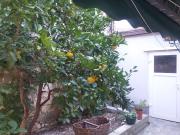 Top Tisno