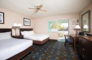 Top Lake Havasu City Top Lake Havasu City