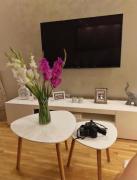 Top Vračar (historical)