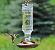 Top San Miguel de Allende