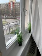 Top Hajdúszoboszló