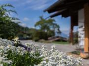 Top Berchtesgaden