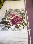 Top Campina Top Campina