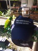 Cabins yafeth osa drake bay