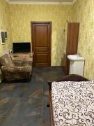 Top Haysyn Top Haysyn