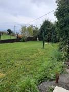 Top Santa Cruz das Flores Top Santa Cruz das Flores