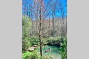 Top Sylva