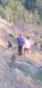 Top Mashobra