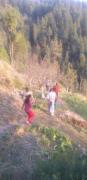 Top Mashobra