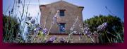 LAlboreto Salvatico Homestay