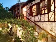 Demeter Rose Stonehouse Pansion