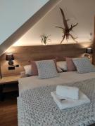 Top Kašperské Hory