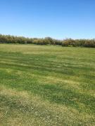 Top Bahía Blanca